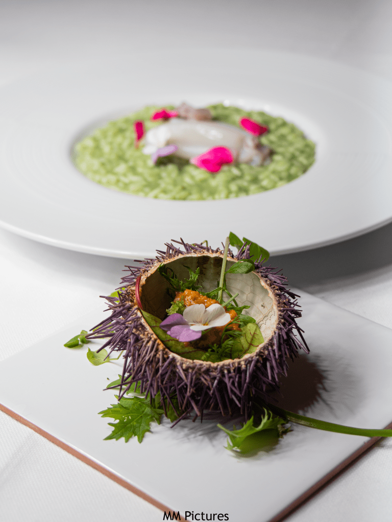 Food Photography in Umbria, Risotto e riccio di mare