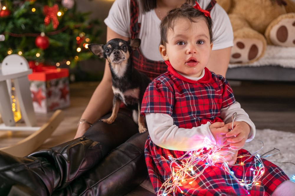 fotografia di famiglia per Natale